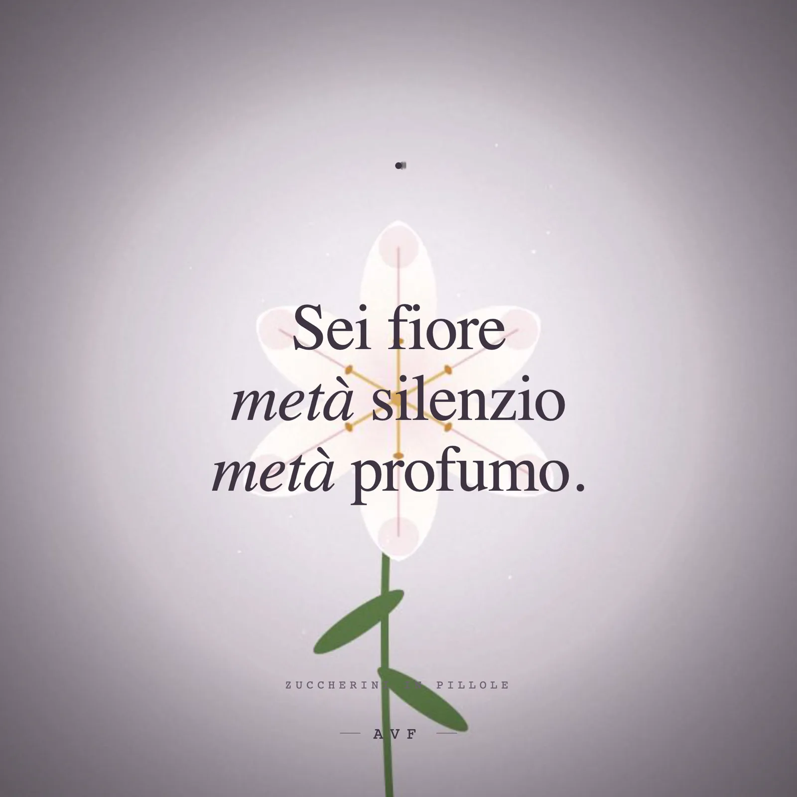Meta silenzio